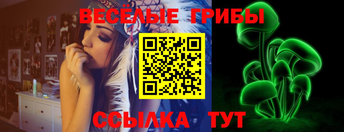 Псилоцибиновые грибы мицелий  Вход с VPN  Тула 